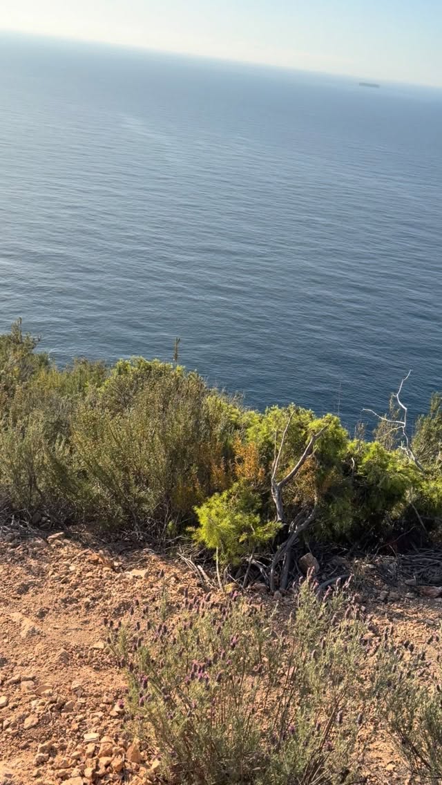 🏃🏼 Mañana de Trail Running disfrutona con @fondistestossa